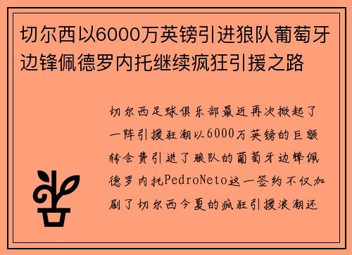 切尔西以6000万英镑引进狼队葡萄牙边锋佩德罗内托继续疯狂引援之路